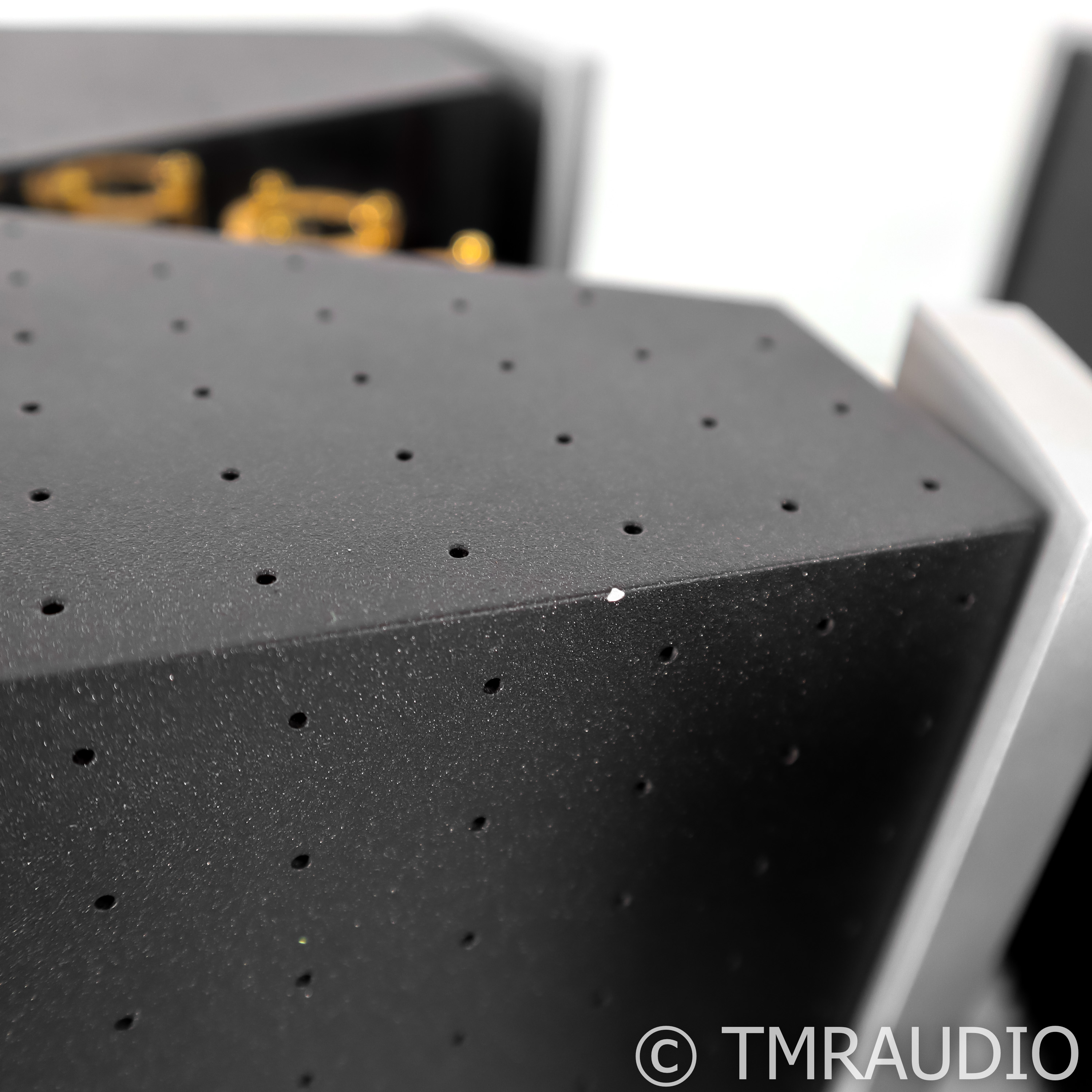 Pathos InPower Monoblock Amplifier