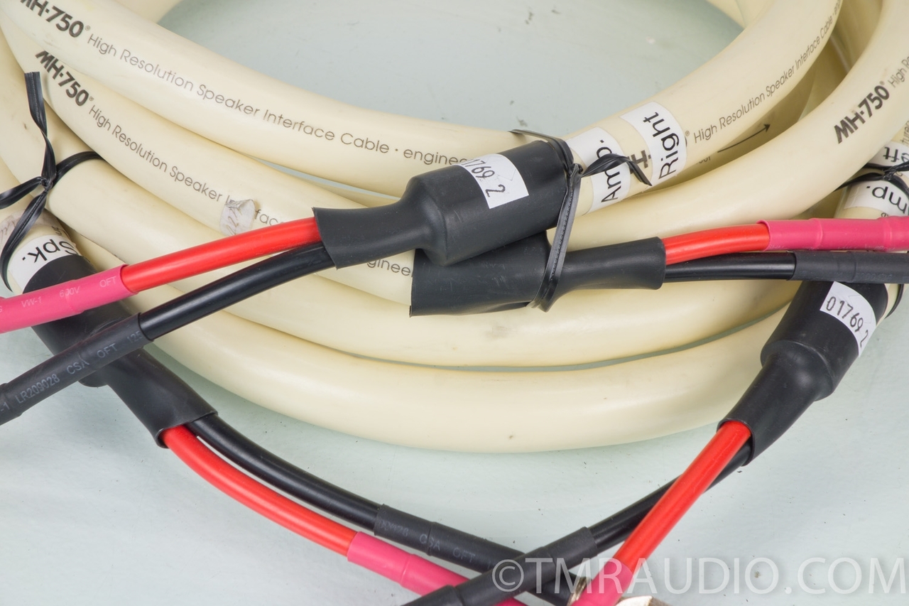 MUSIC HOSE MH-750 スピーカーケーブルMIT MIT MH 750 Music Hose 8 foot pair spade lugs - Cables