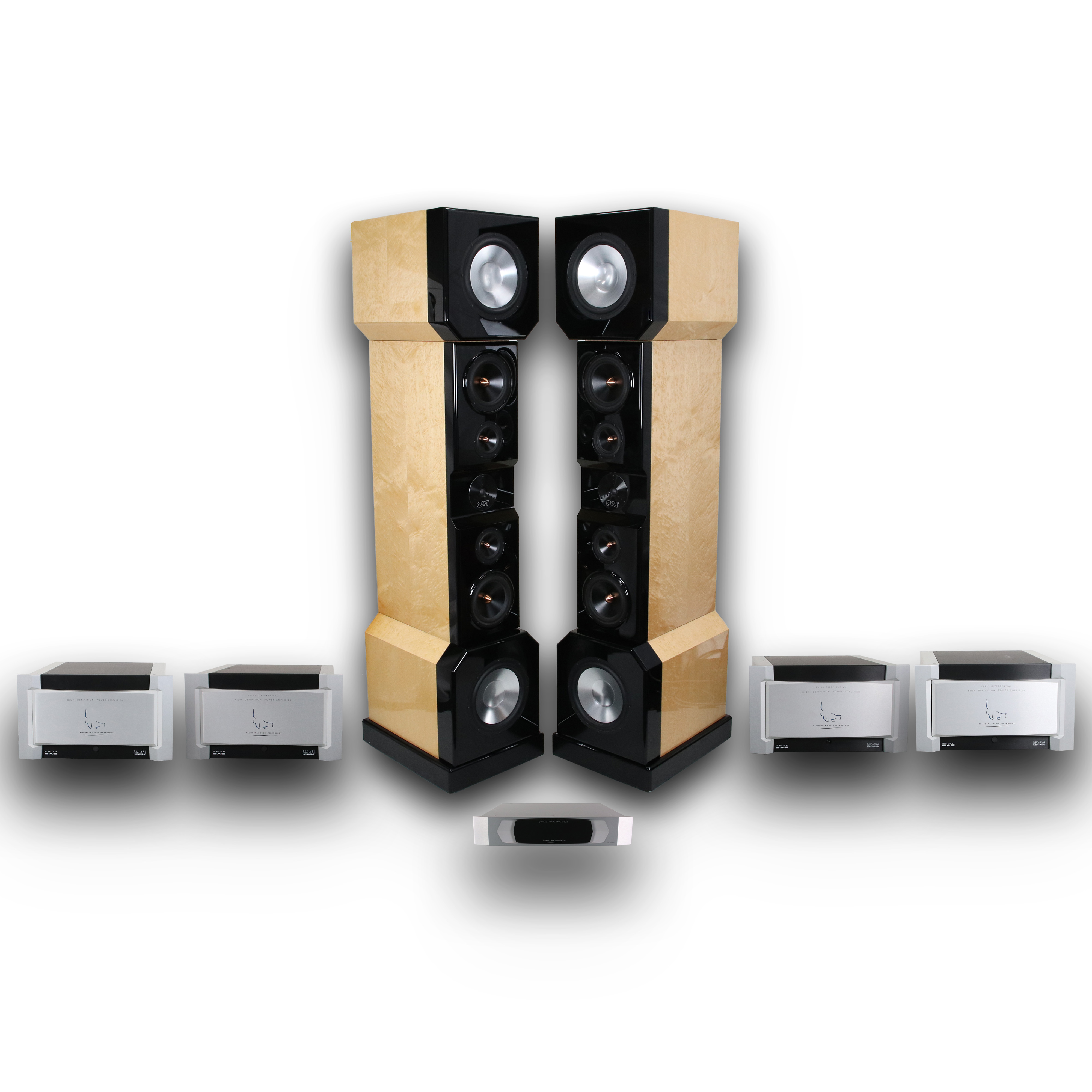 CAT Sequoia Floorstanding Speakers w/ DSP & Amplifiers