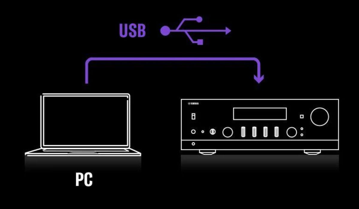 R-N2000A usb dac