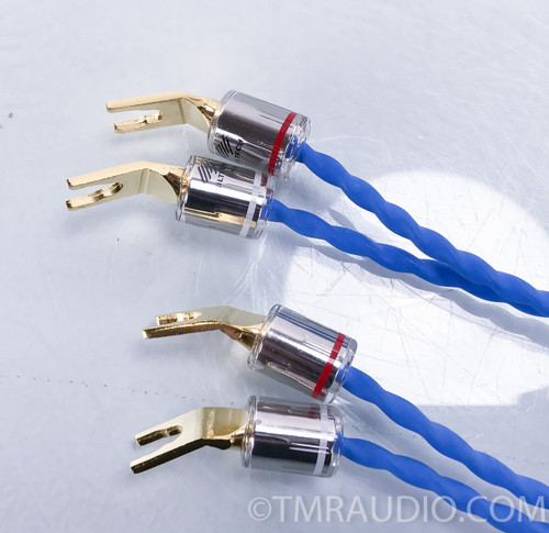 Siltech Classic Anniversary RCA 330 i câbles modulation chez E&M à Paris