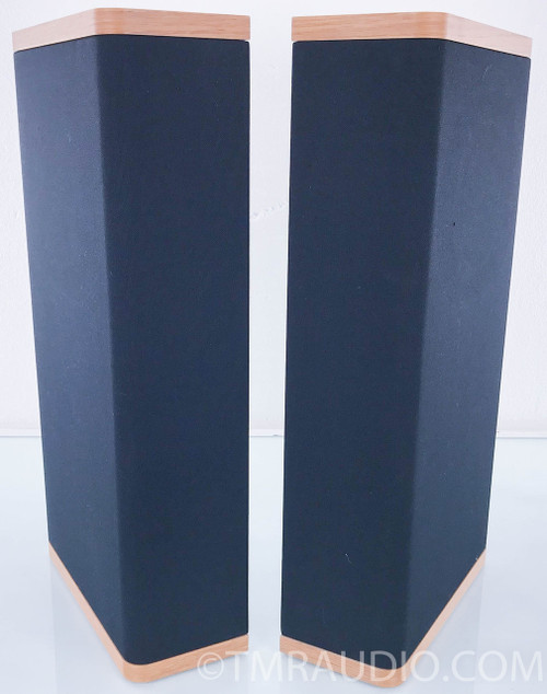 Vandersteen VSM1 OnWall Surround Speakers; Pair The Music Room