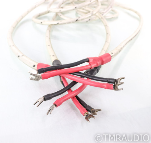 洋楽 WHAT KIND OF WORLD / CABLES CABLES / WHAT KIND OF WORLD – TICRO MARKET