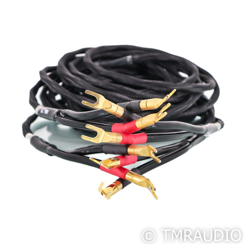 BluGuitar Vintage Premium Speaker Cable (Long) - Eastgate Music