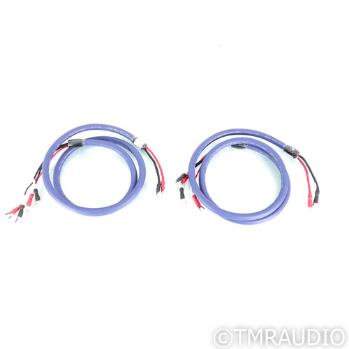 Cardas Clear Cygnus Bi-Wire Speaker Cables; 2m Pair; 9mm Spades (Open Box)
