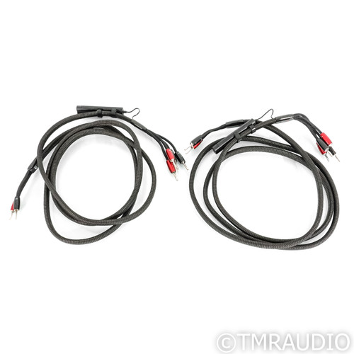 AudioQuest Castle Rock Bi-Wire Speaker Cables; 10ft Pair