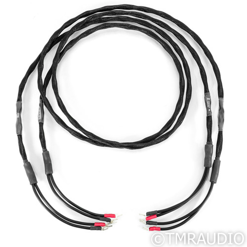 Synergistic Research Atmosphere X Alive Speaker Cables; 10ft Pair