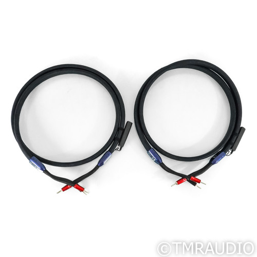 Reference Cables D-sub - TRS 1m 他 Elite Core Audio DB25Q10 25-Pin D-Sub to 8 1/4