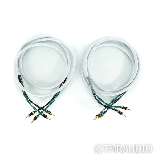 RSX Technologies ER-61 Benchmark Speaker Cables; 8ft Pair