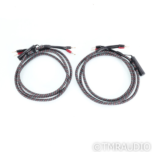 AudioQuest CV-8 Hyperlitz Speaker Cables; 8ft Pair (1/4)