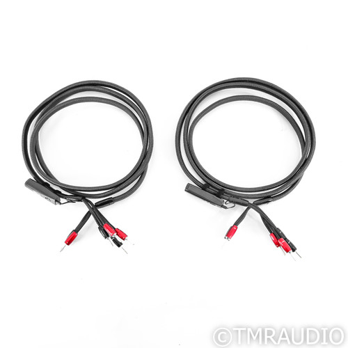 AudioQuest Meteor Bi-Wire Speaker Cables; 10ft Pair; 72V DBS