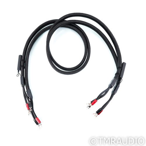 AudioQuest Dragon ZERO Speaker Cables; 8ft Pair (1/7)