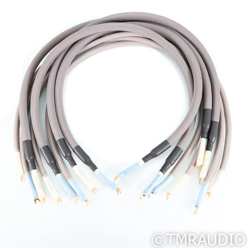 Audio Magic Sorcerer Bi-Amp Speaker Cables; 4ft Set of 8 Cables