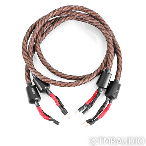 WireWorld Eclipse 10 Speaker Cables; 2m Pair
