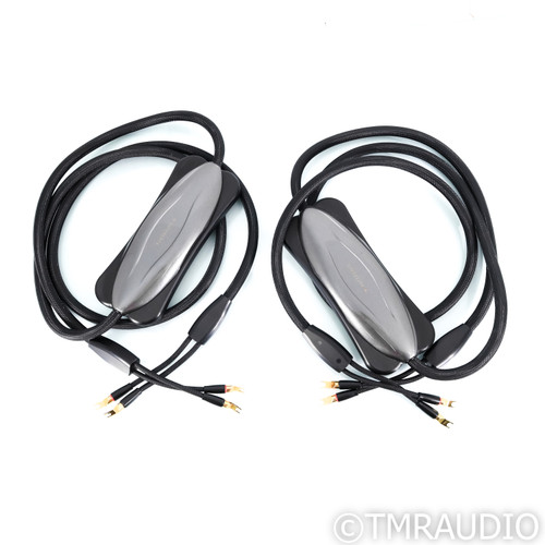 Transparent Audio Reference G6 Speaker Cables; 12ft Pair