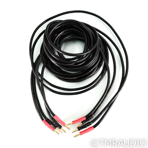 Audio Note Lexus LX96 Speaker Cables