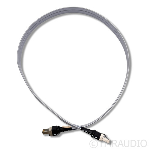 Used WireWorld Platinum Starlight 8 Ethernet Cable - The Music Room