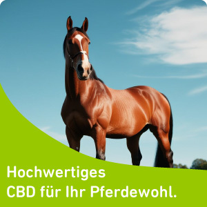 Hochwertiges CBD für Ihr Pferdewohl.