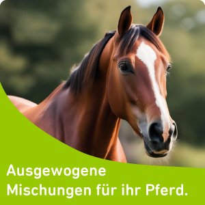 Ausgewogene Mischungen für Ihr Pferd.
