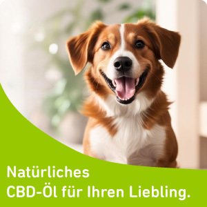 Natürliches CBD-Öl für Ihren Hund.