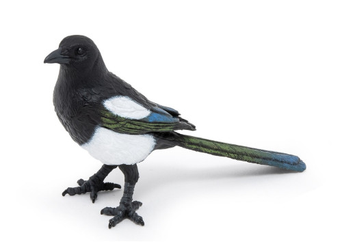 Magpie