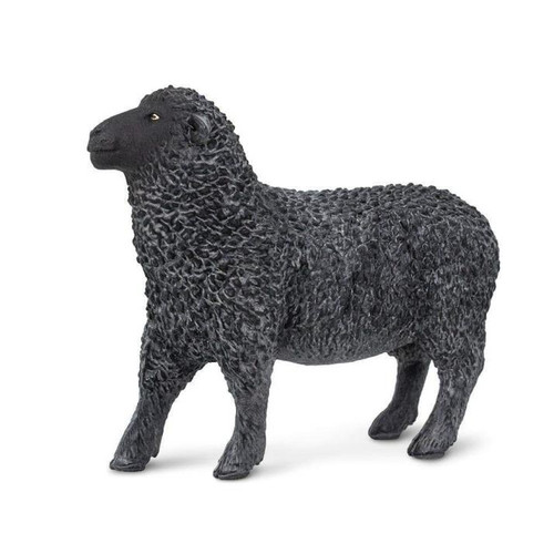 Black Sheep (by Safari Ltd.)