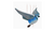 Blue Jay - Flying Bird Mobile