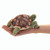 Mini Tortoise Finger Puppet