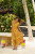 Mandi Dress in Yellow Line Leaves