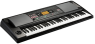 Korg EK-50 CSA 61-Key Arranger Keyboard w/ Latin Styles, Mariachi, Banda, Salsa, Cumbia
