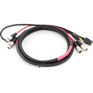 Rapco Horizon EC2-50 Siamese Twin Audio / Power cable With Edison Plug to IEC 50Feet