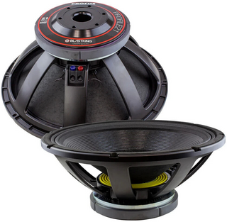 Blastking PROFILE21 woofer front back