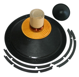 B&C R15TBX100 recone kit