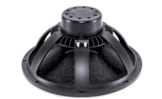 B&C 18NW100-4 speaker angle view