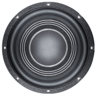 B&C Speakers 12FG100 front view speaker