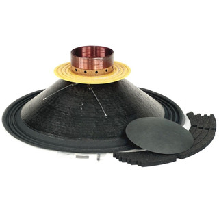B&C R18NBX100 speaker recone kit