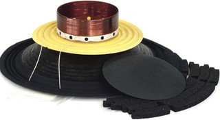 B&C R12NW100 speaker recone kit parts