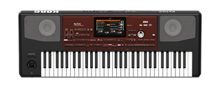 Korg PA700 61-key Arranger Workstation with 370+ Music Styles, 1,700+ Sounds