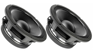 Two FaitalPRO 10FH530 speakers
