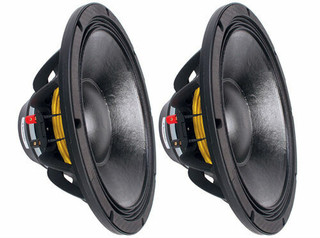 Two B&C 12NW76 12-inch woofer speakers