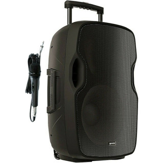 Gemini AS-15TOGO speaker with mic