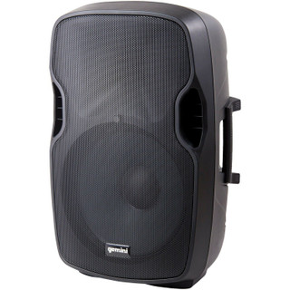 Gemini AS-10P 2-Way Full-Range PA Powered Speaker 1000W peak