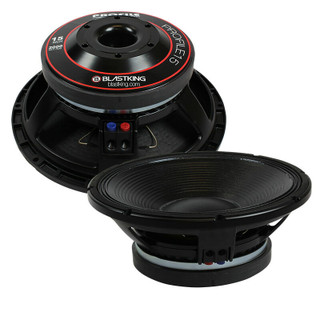 BlastKing PROFILE15 woofer front & back
