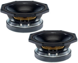 2x B&C 8FW51 8-inch mid-bass speakers.