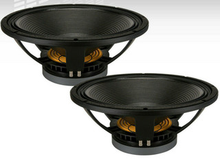 2x B&C 18TBX100-4 4-Ohm 18" Subwoofer 2400 Watts Low Frequency 35 - 1000 Hz SUB.