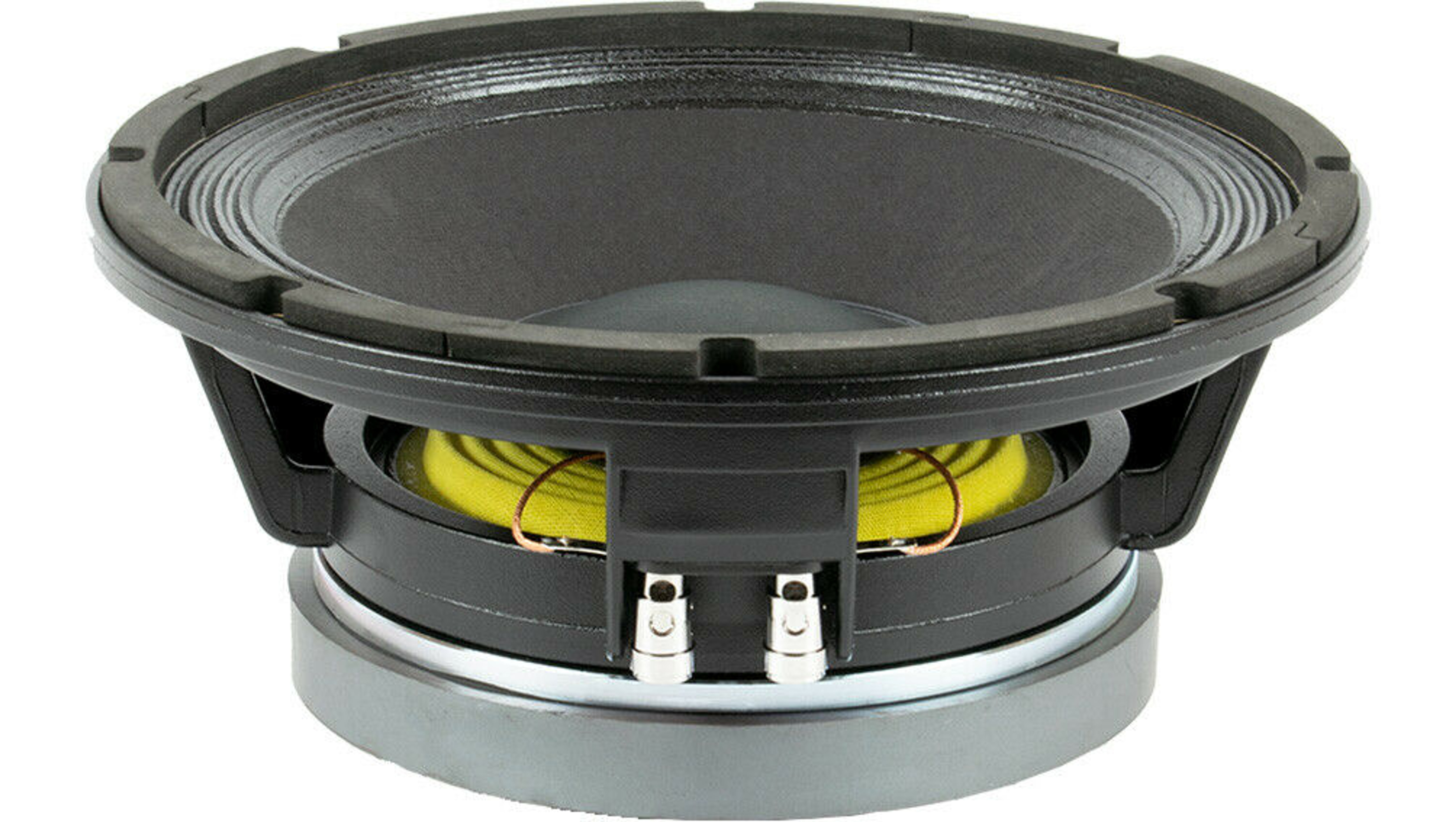 speaker low 10 inch