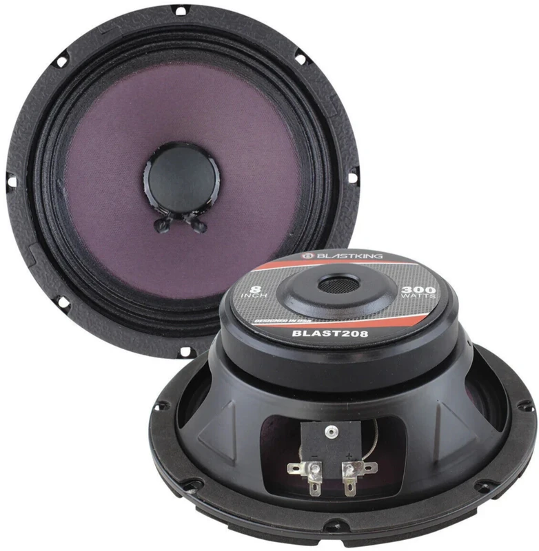 Blastking BLAST208 speaker