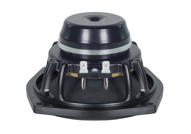 B&C 5NDL38-4 5-Inch Professional Neodymium Speaker