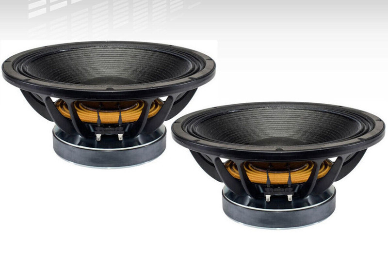 Two B&C 15TBW100-4 15" subwoofer drivers