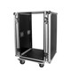 ProX T-18RSS 18U Space Amp Rack Mount ATA Flight Case 19 Inch Depth W-Casters